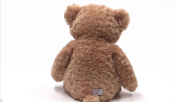 Teddy ① The World Of Teddy Ruxpin Worlds First Animated Talking Toy 1990